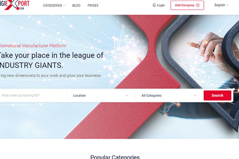 Digiexport web sitesi — Yass Medya referansı